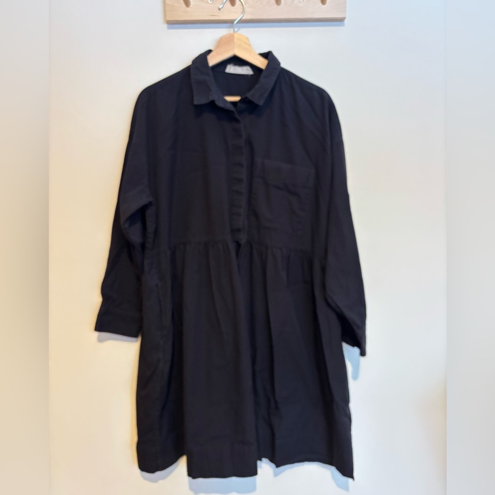 Everlane shirt dress